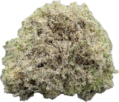 Sphaigne Sèche Française - 1 kg