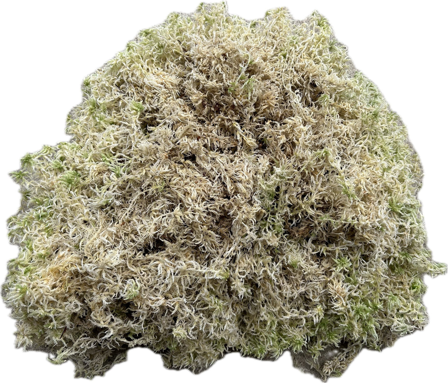 Sphaigne Sèche Française - 10 kg