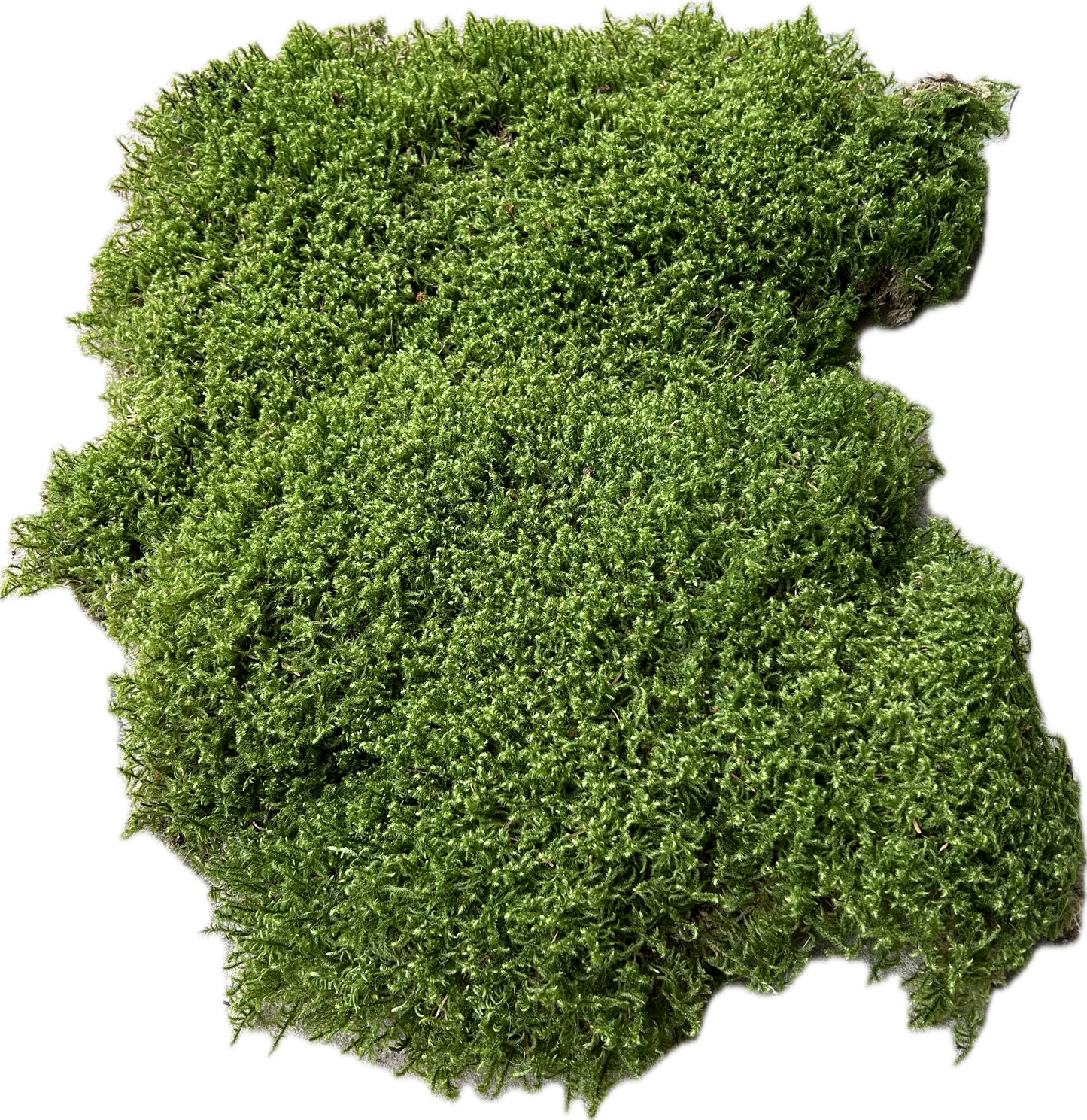 Mousse de Bourrage - 100 Litres