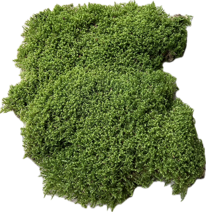 Mousse de Bourrage - 100 Litres