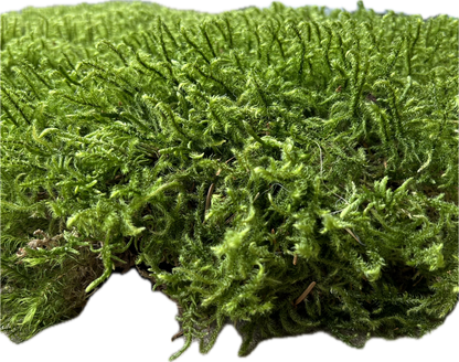 Mousse de Bourrage - 100 Litres