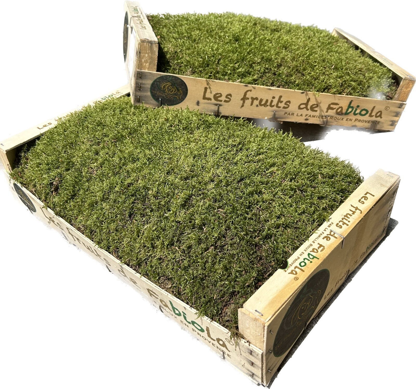 Mousse Plate Végétale Naturelle - 0,6 m² par Caisse