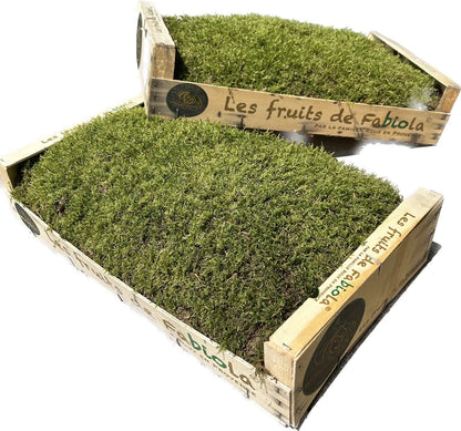 Mousse Plate Végétale Naturelle - 0,6 m² par Caisse