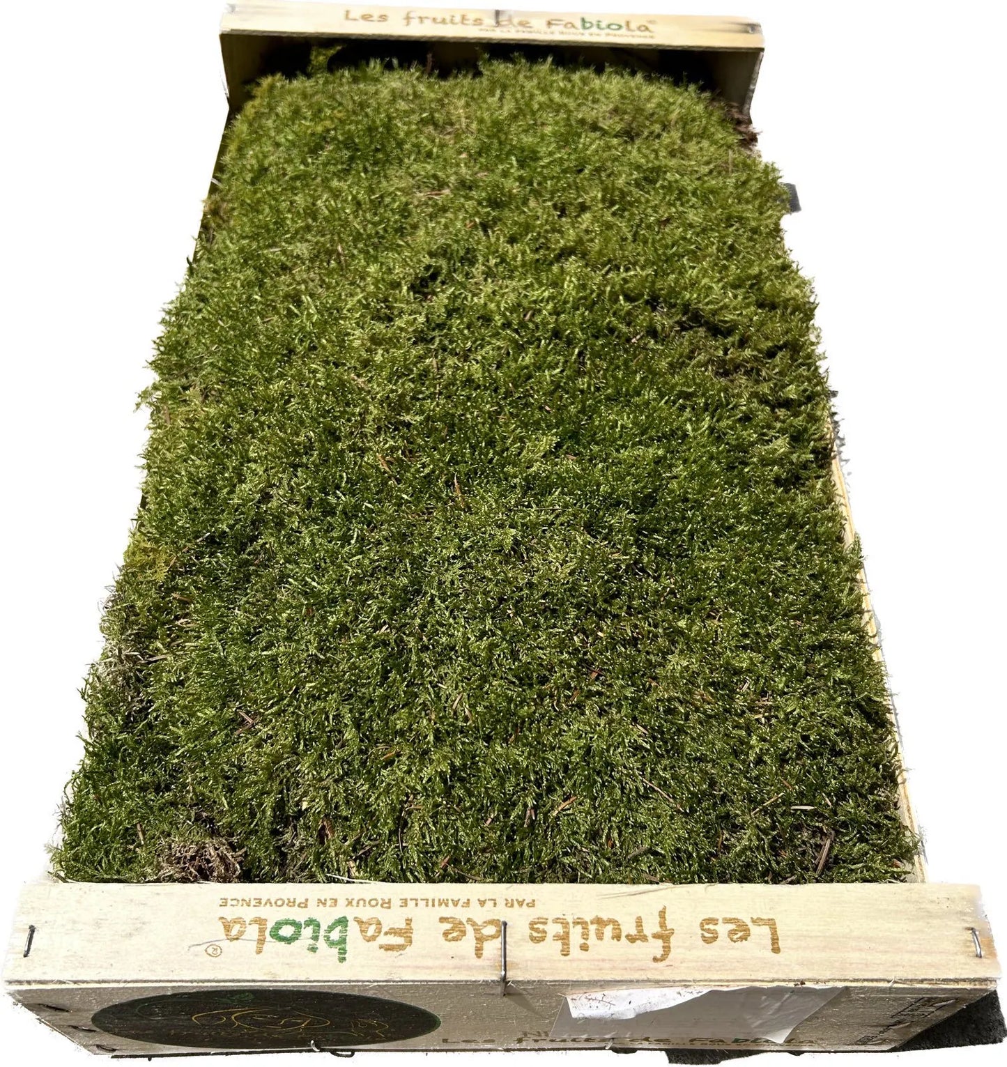 Mousse Plate Végétale Naturelle - 0,6 m² par Caisse